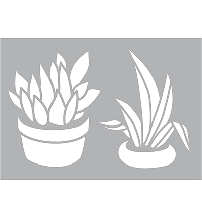 470.802.082 - Pronty - Plantes grasses - Fleurs