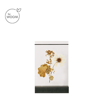 476.800.001 - By Woom - Support fleurs séchées, MDF noir+ acrylique - Porte plante