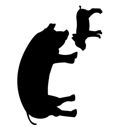 470.268.051 - Pronty - Varken - Animaux