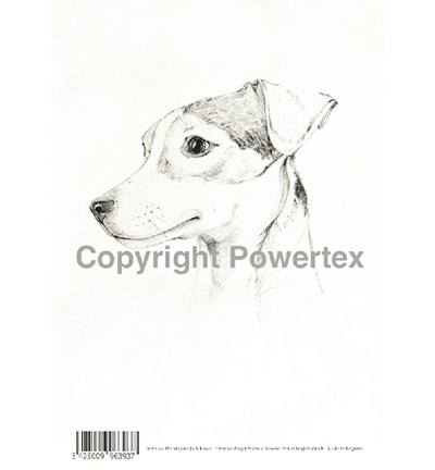 393 - Powertex - Jack Russel - 