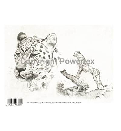 394 - Powertex - Cheetah - 