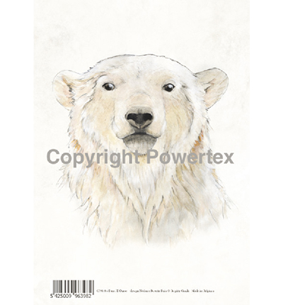 398 - Powertex - Bear colour - 