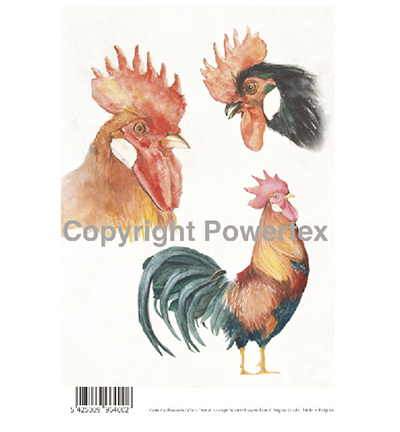 400 - Powertex - Coqs - 