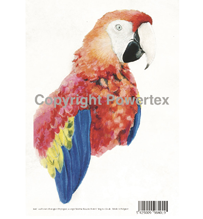 401 - Powertex - Parrot - 