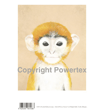 408 - Powertex - Ouistiti - 