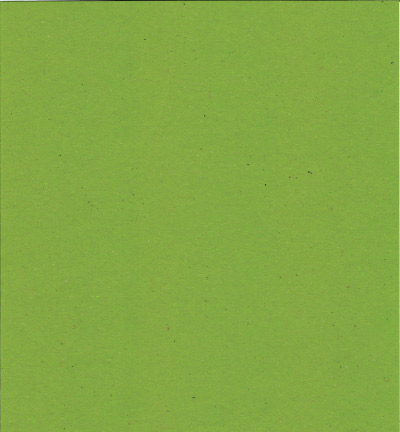 214328 - Papicolor - Vert - Recycled Carton A4 (1feuille)