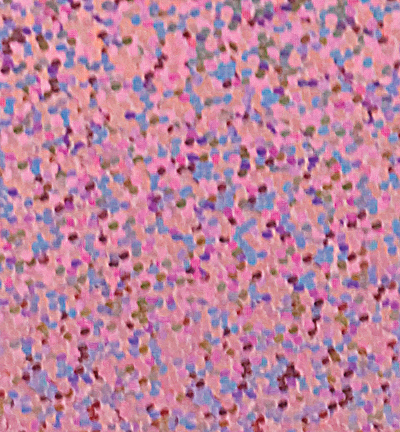 6205.905 - Starform - Holographic Pink - Brillant & holographique 6205.905 - Starform - Holographic Pink - Brillant & holographique