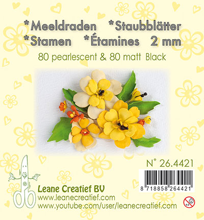 26.4421 - Leane Creatief - Matt & Pearl Black - Etamines 2mm