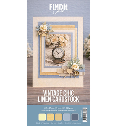 FITCB4k005 - Find It Color - Find It Color pack cardstock lin 4K – Vintage Chic - 