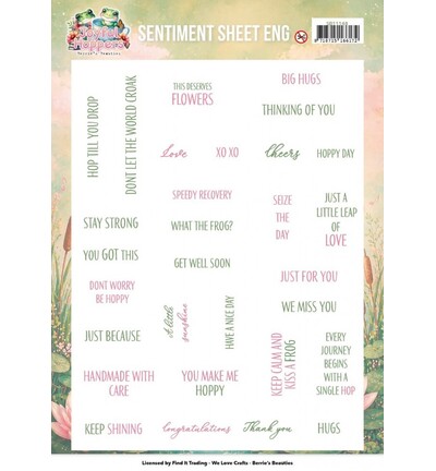 SB11148 - Find-it - Push-out – Sentiments ENG - Joyful Hoppers