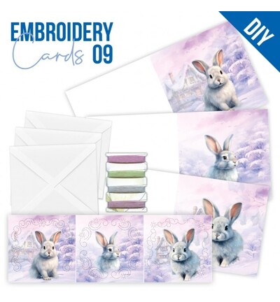 STDOPP009 - Find-it - Stitch & Do Cards 09 - Lapins - 