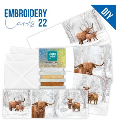 STDOPP022 - Find-it - Stitch & Do Cards 22 - Hiver robuste - 
