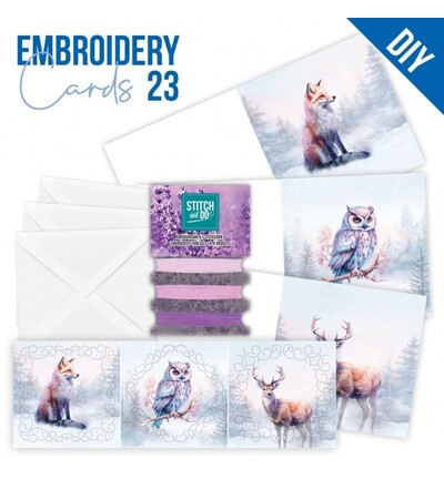 STDOPP023 - Find-it - Stitch & Do Cards 23 - Hiver mystique - 