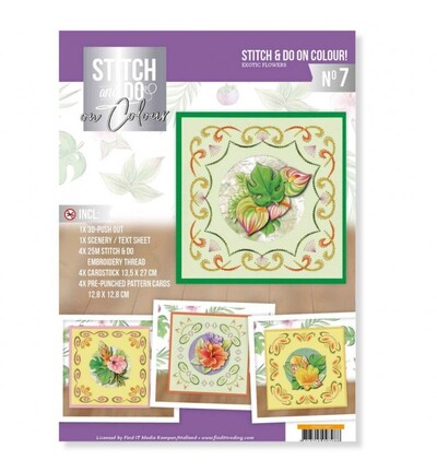 STDOOC10007 - Find-it - Stitch & Do on Colour 07 - Fleurs exotiques - 