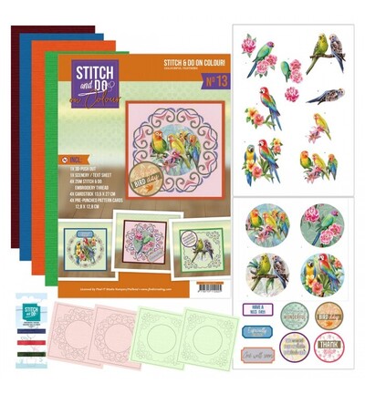 STDOOC10013 - Find-it - Stitch & Do on Colour 13 - Plumes colorées - 