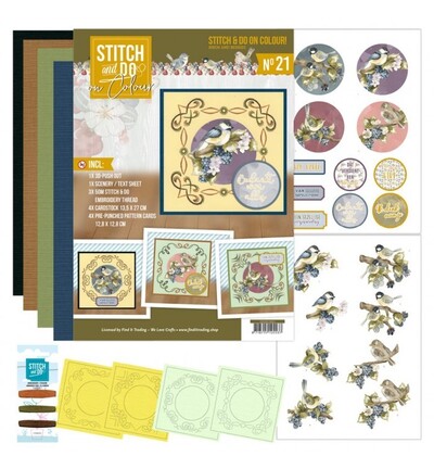 STDOOC10021 - Find-it - Stitch & Do on Colour 21 - Oiseaux et baies - 