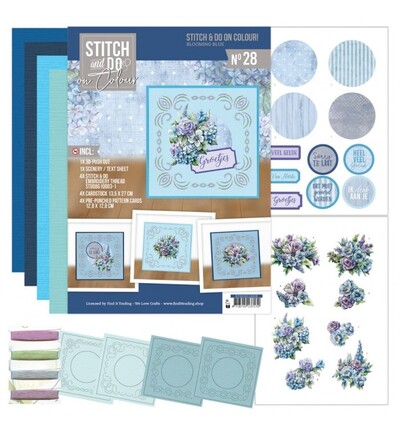 STDOOC10028 - Find-it - Stitch & Do on Colour 28 - Bleu fleuri - 