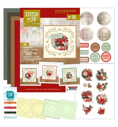 STDOOC10036 - Find-it - Stitch & Do on Colour 36 - Noël fleuri - 