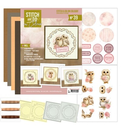 STDOOC10039 - Find-it - Stitch & Do on Colour 39 - Owlways Yours - 