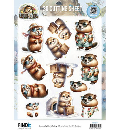 CD12541 - Find-it - Feuille 3D 10 pcs – Holiday Ready - Groundhog