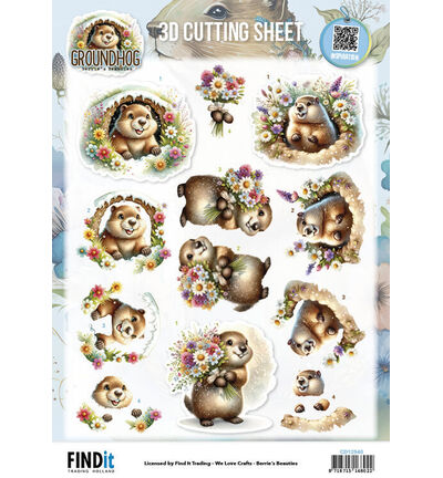 CD12540 - Find-it - Feuille 3D 10 pcs – Spring Moments - Groundhog