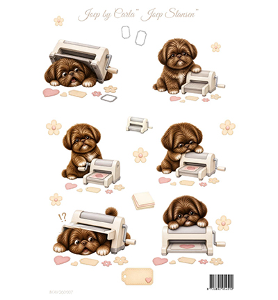 JBC-KV-2601007 - Joep By Carla - Hobbymomenten met Joep, Stansen - 
