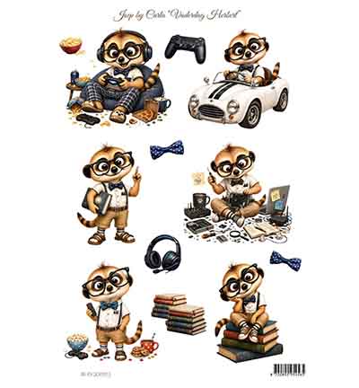 JBC-KV-2601013 - Joep By Carla - Vaderdag Herbert - 