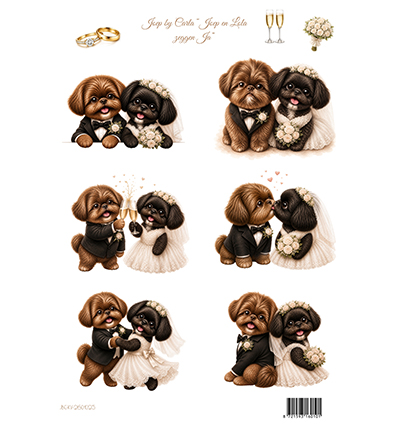 JBC-KV-2601025 - Joep By Carla - Joep en Lola zeggen Ja - 