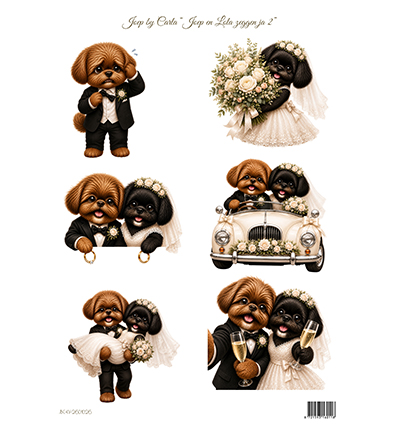 JBC-KV-2601026 - Joep By Carla - Joep en Lola zeggen Ja 2 - 
