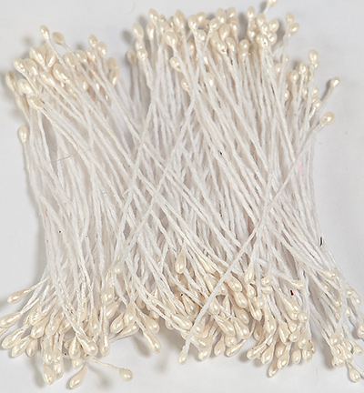 12257-5701 - Hobby Crafting Fun - Etamines pearlized White - Etamines 1mm
