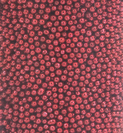 12342-4204 - Hobby Crafting Fun - Mini Perles Rouge - 