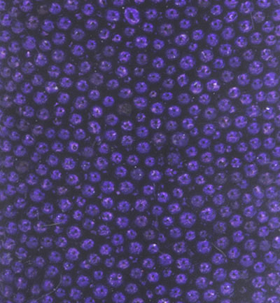 12342-4206 - Hobby Crafting Fun - Mini Perles Mauve - 