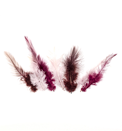 12235-3507 - Hobby Crafting Fun - Feathers, Wine - Plumes