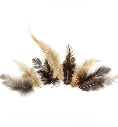 12235-3508 - Hobby Crafting Fun - Feathers, Earth - Plumes