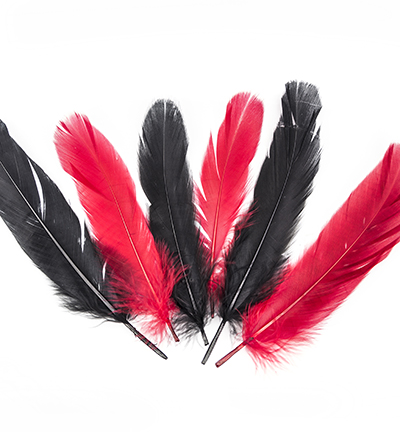 12238-3801 - Hobby Crafting Fun - Feathers, Gala - Plumes