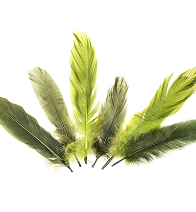 12238-3806 - Hobby Crafting Fun - Feathers, Forest - Plumes