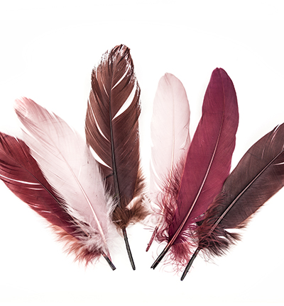 12238-3807 - Hobby Crafting Fun - Feathers, Wine - Plumes