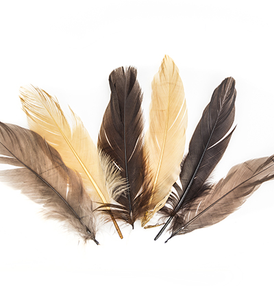 12238-3808 - Hobby Crafting Fun - Feathers, Earth - Plumes
