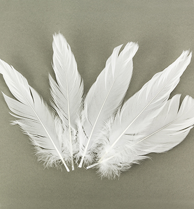 12238-3809 - Hobby Crafting Fun - Feathers, Pure White - Plumes