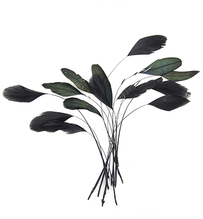 12238-3821 - Hobby Crafting Fun - Feathers, Black - 