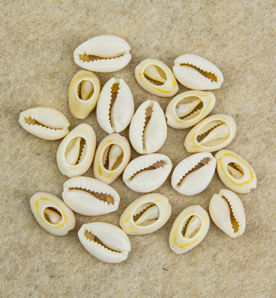 12454-5401 - Hobby Crafting Fun - Cowrie Shells, Natural - Coquillages cauris