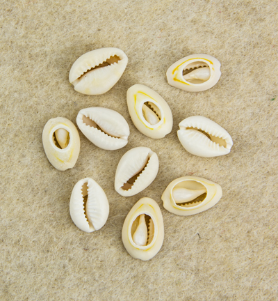 12454-5402 - Hobby Crafting Fun - Cowrie Shells, Natural - Coquillages cauris