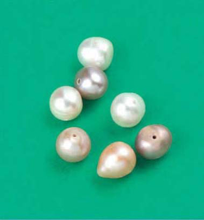 12019-0004 - Hobby Crafting Fun - Fresh water pearls, Cream - Perles d'eau douce