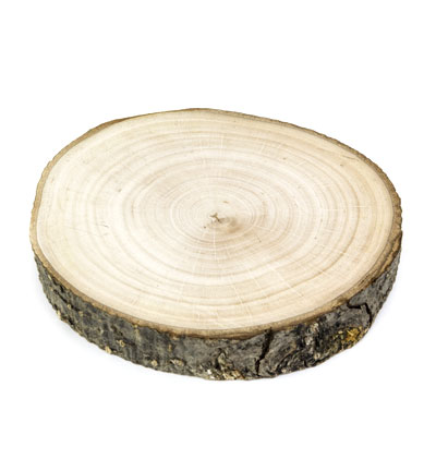 8470 - Kippers - Rondin ± 14 - 16cm - 