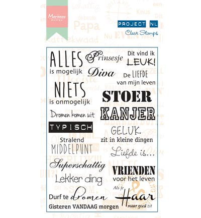 PL1508 - Marianne Design - Individu - Project NL