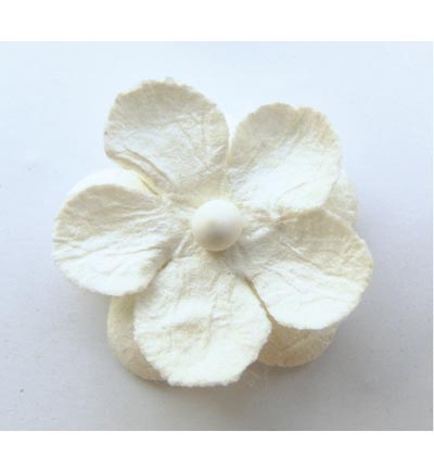 RB2234 - Marianne Design - White - 