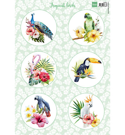 VK9561 - Marianne Design - Tropical birds - Général
