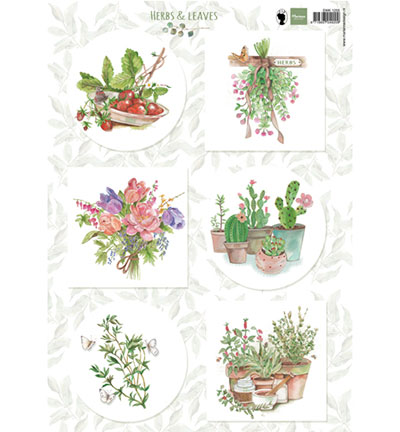 EWK1255 - Marianne Design - Herbs & leaves 2 - Els(EWK)