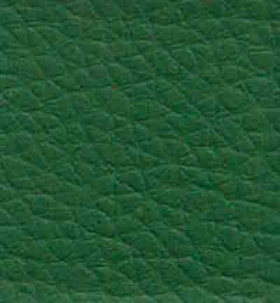 240056-774 - Stafil - Tissu en similicuir, Pine - Similicuir, uni