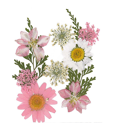8712-03 - Stafil - Dry pressed flowers, Light Pink - Fleurs séchées